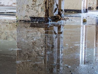 About Crawl Space Mold Remediation Manteca - basement water damage restoration experts in Manteca